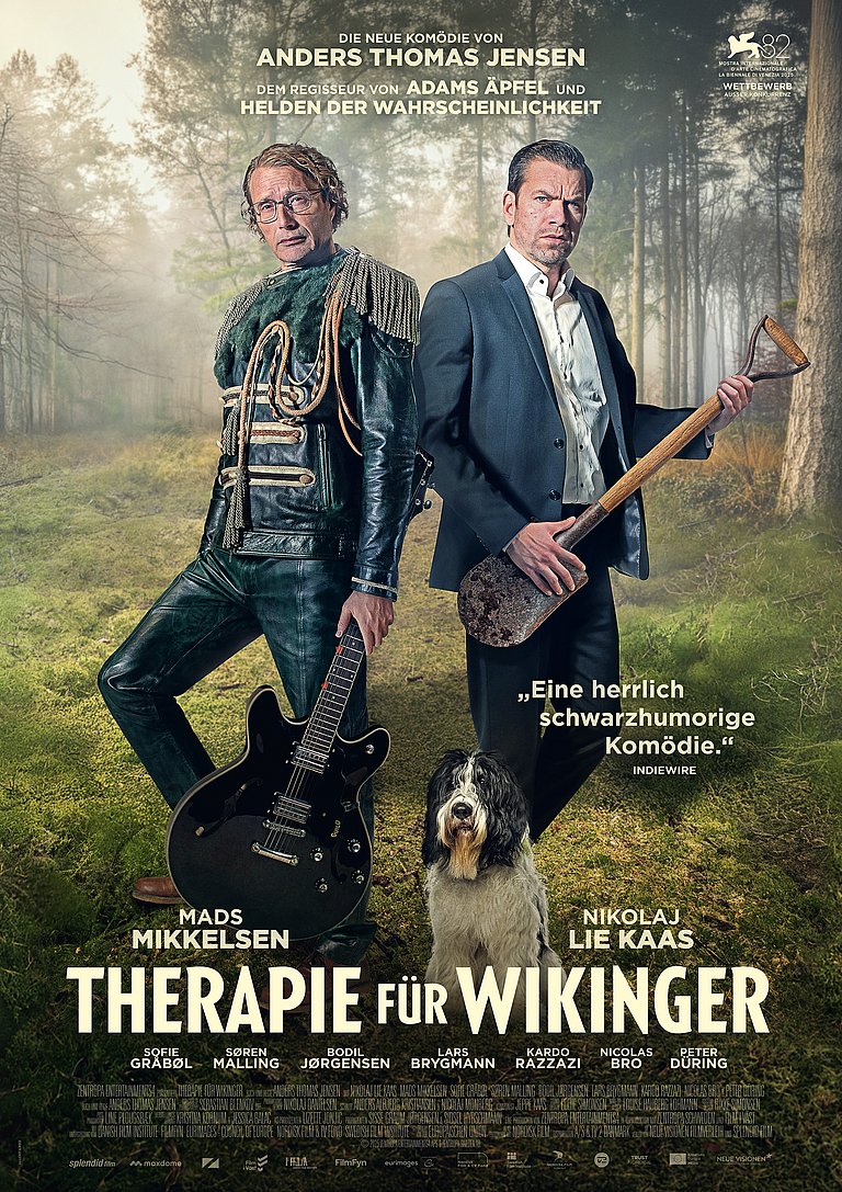 Filmplakat des Films Therapie für Wikinger